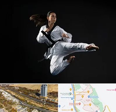 مربی رزمی خانم در خیابان نیایش شیراز