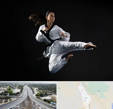 مربی رزمی خانم در اندیمشک