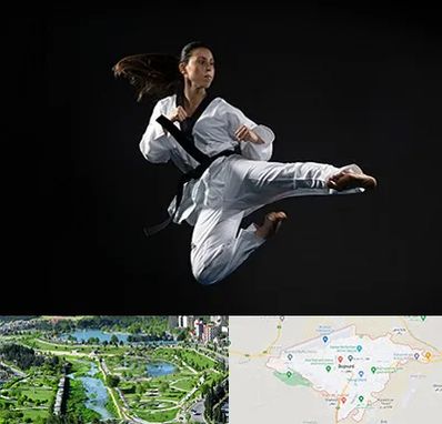 مربی رزمی خانم در بجنورد