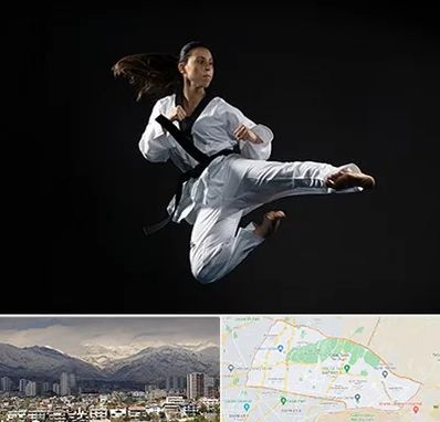 مربی رزمی خانم در منطقه 4 تهران