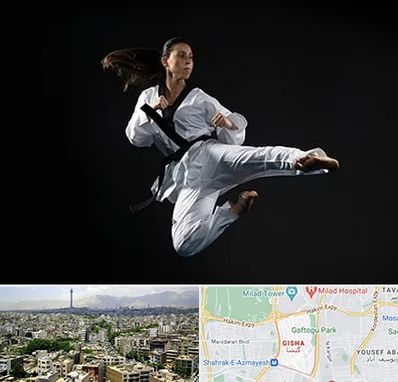 مربی رزمی خانم در گیشا