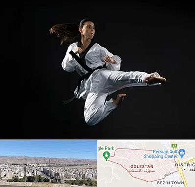 مربی رزمی خانم در شهرک گلستان شیراز