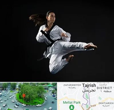 مربی رزمی خانم در تجریش 