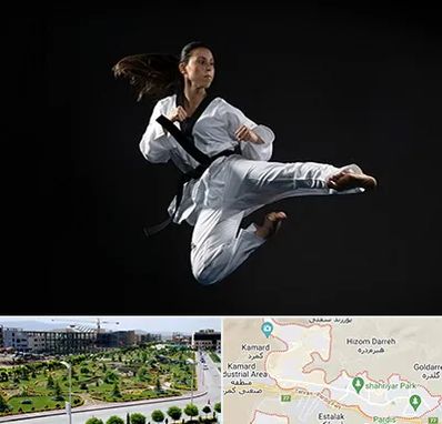 مربی رزمی خانم در پردیس