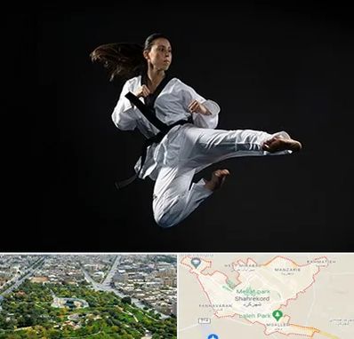 مربی رزمی خانم در شهرکرد