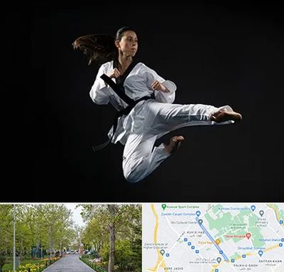 مربی رزمی خانم در قدوسی غربی شیراز