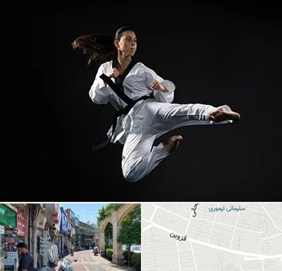 مربی رزمی خانم در خیابان قزوین