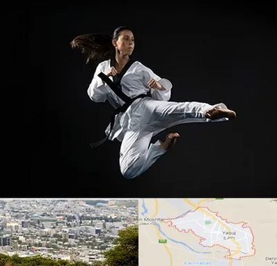 مربی رزمی خانم در یاسوج