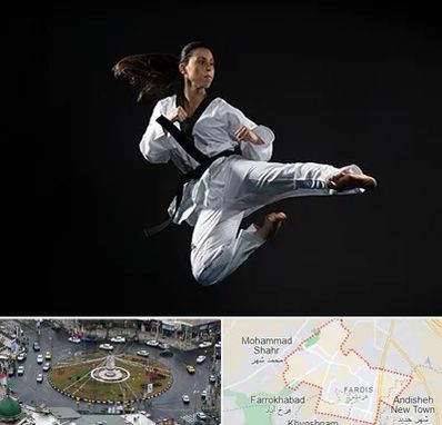 مربی رزمی خانم در فردیس کرج