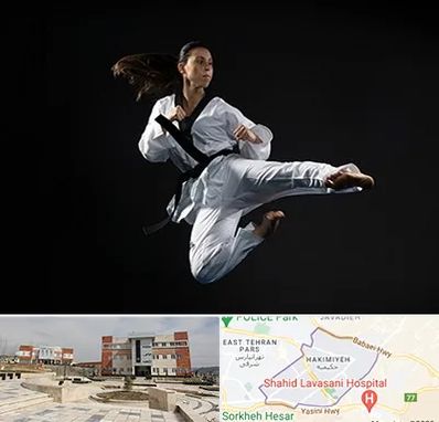 مربی رزمی خانم در حکیمیه