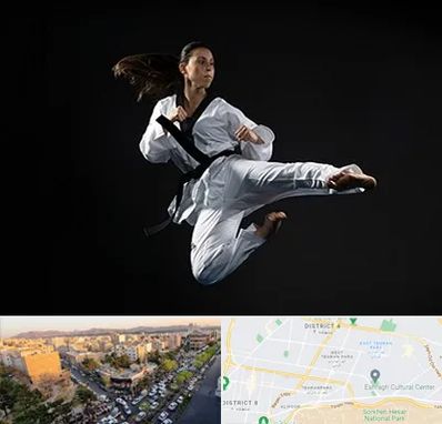 مربی رزمی خانم در تهرانپارس 