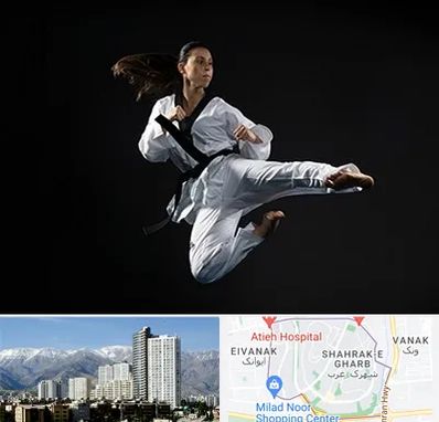 مربی رزمی خانم در شهرک غرب 