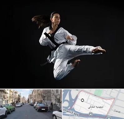 مربی رزمی خانم در مجیدیه شمالی