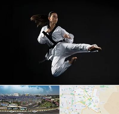 مربی رزمی خانم در منطقه 15 تهران