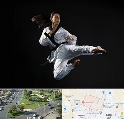 مربی رزمی خانم در شاهین ویلا کرج