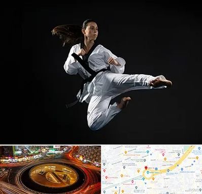 مربی رزمی خانم در میدان ولیعصر