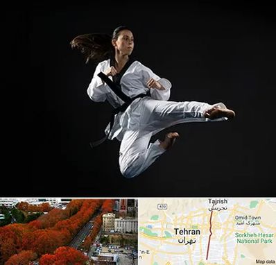 مربی رزمی خانم در ولیعصر