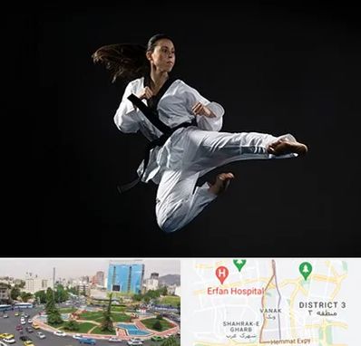 مربی رزمی خانم در ونک 