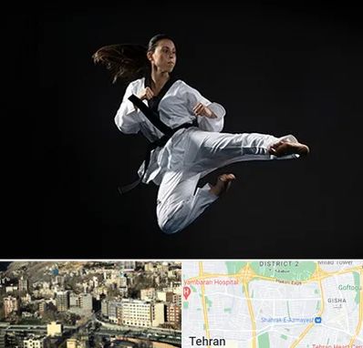 مربی رزمی خانم در مرزداران 