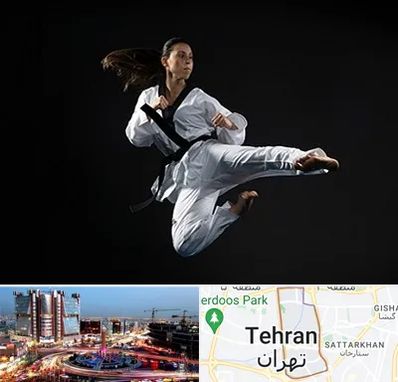 مربی رزمی خانم در صادقیه 