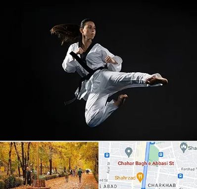 مربی رزمی خانم در چهارباغ اصفهان