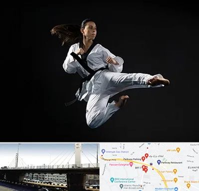 مربی رزمی خانم در پارک وی