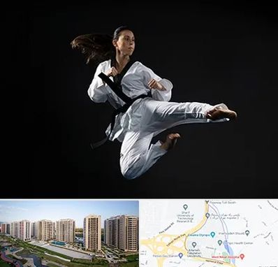 مربی رزمی خانم در المپیک