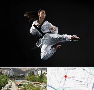 مربی رزمی خانم در بلوار تعاون