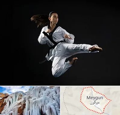 مربی رزمی خانم در میگون