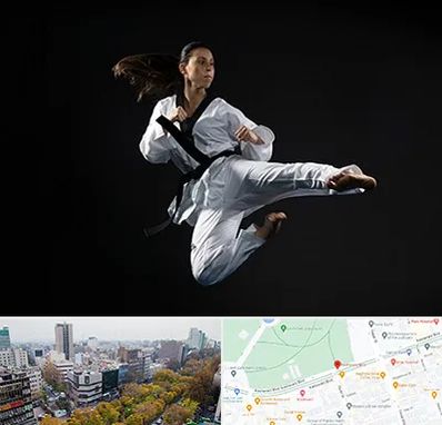 مربی رزمی خانم در بلوار کشاورز