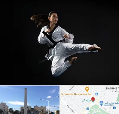 مربی رزمی خانم در فلکه گاز شیراز