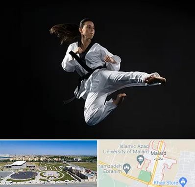 مربی رزمی خانم در ملارد