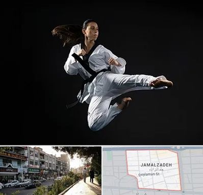 مربی رزمی خانم در خیابان جمالزاده
