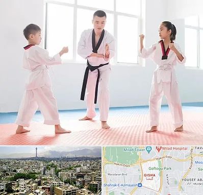 مربی رزمی در گیشا