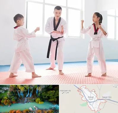 مربی رزمی در دورود