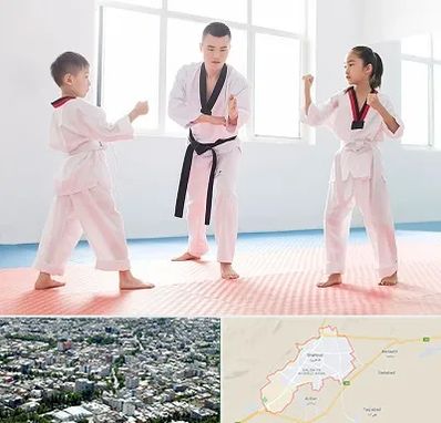 مربی رزمی در شاهرود