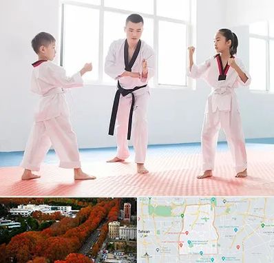 مربی رزمی در منطقه 6 تهران