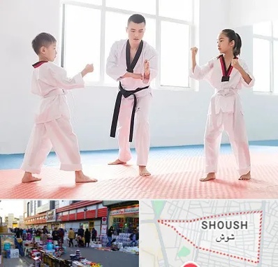 مربی رزمی در شوش