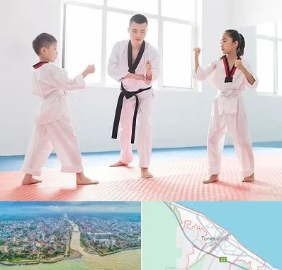 مربی رزمی در تنکابن