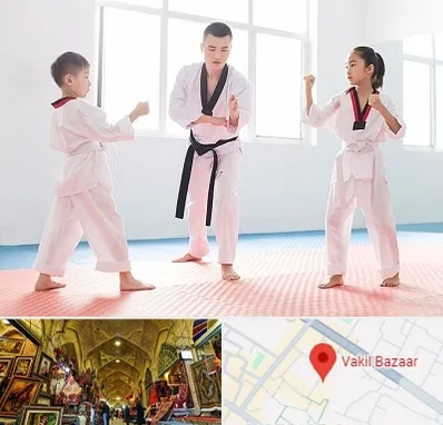 مربی رزمی در بازار وکیل شیراز