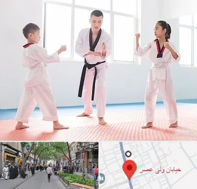 مربی رزمی در ولیعصر شهریار