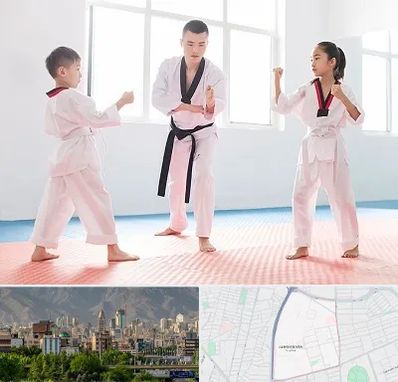 مربی رزمی در جمشیدیه