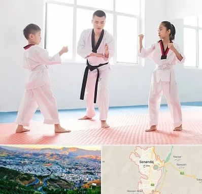 مربی رزمی در سنندج