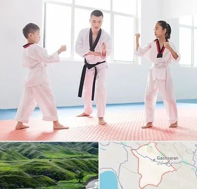مربی رزمی در گچساران