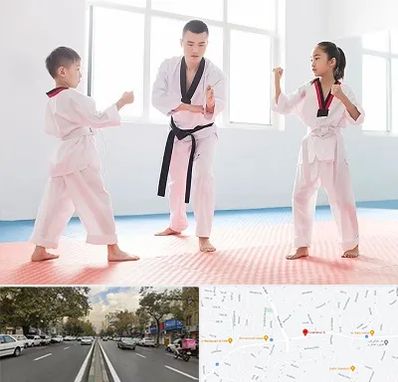 مربی رزمی در دولت