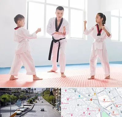 مربی رزمی در خیابان زند شیراز