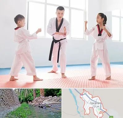 مربی رزمی در سراوان