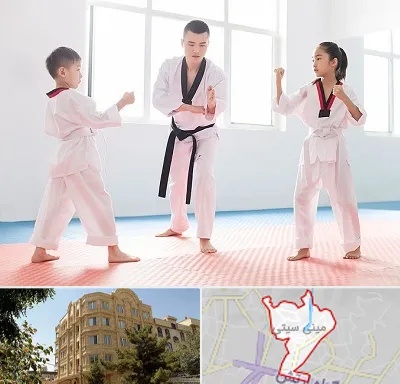 مربی رزمی در مینی سیتی