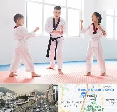 مربی رزمی در پونک 