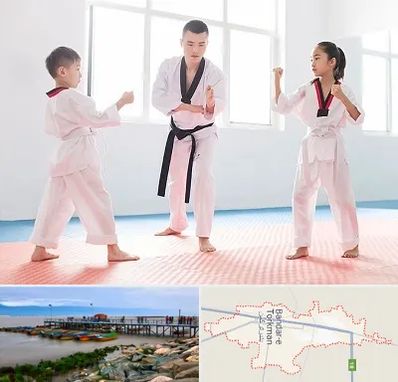 مربی رزمی در بندر ترکمن